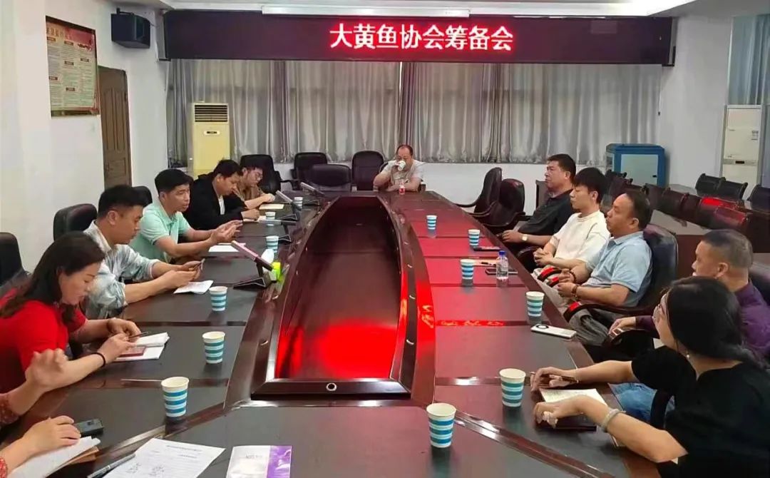 新鲜快讯|福鱼荟受邀筹备大黄鱼协会，共谱地标新篇